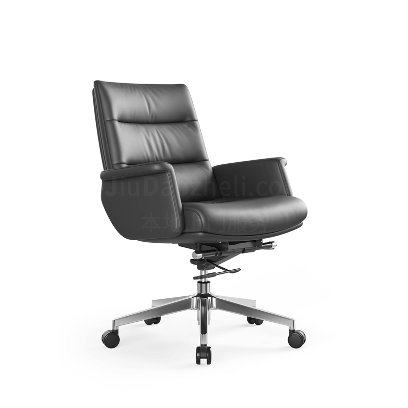 Sitzone南京办公椅，Erica南京中背办公椅JCH-297B-LP，南京会议转椅